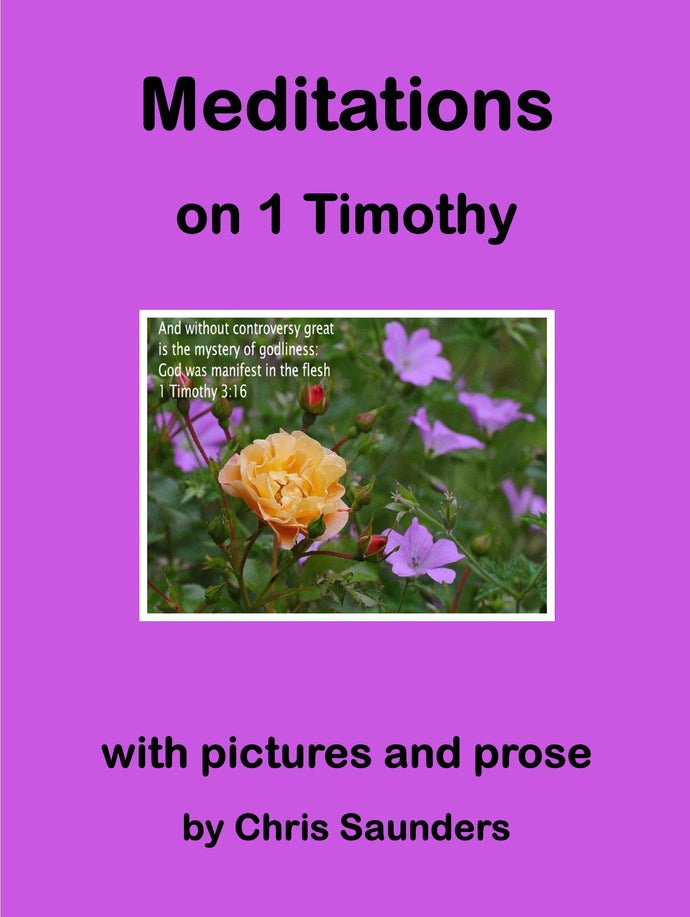 Meditations on 1 Timothy - with pictures and prose