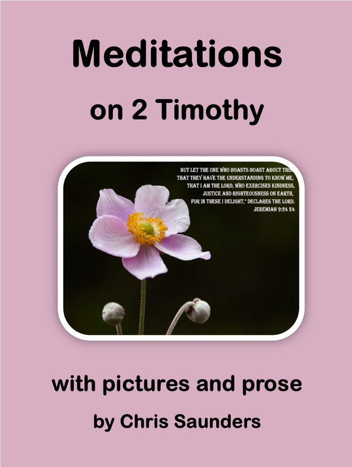 Meditations on 2 Timothy - with pictures and prose