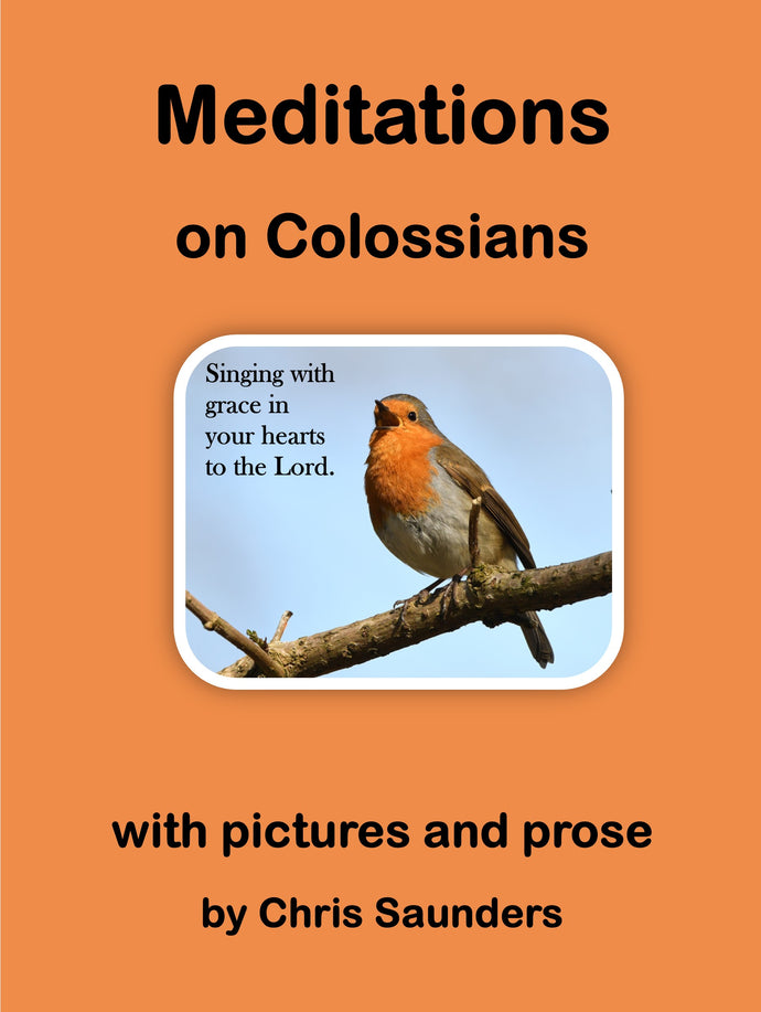 Meditations on Colossians - with pictures and prose