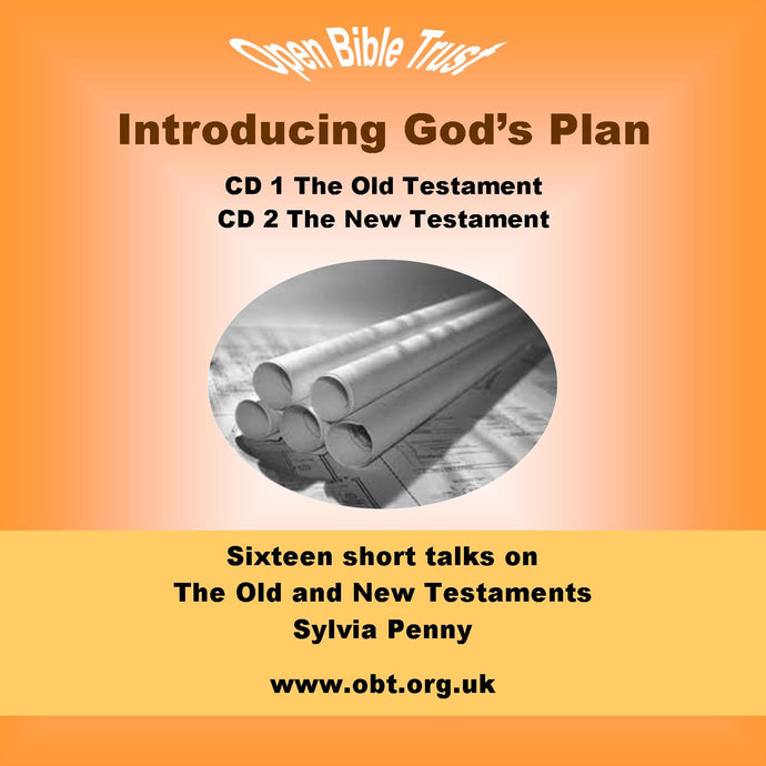 Introducing God's Plan