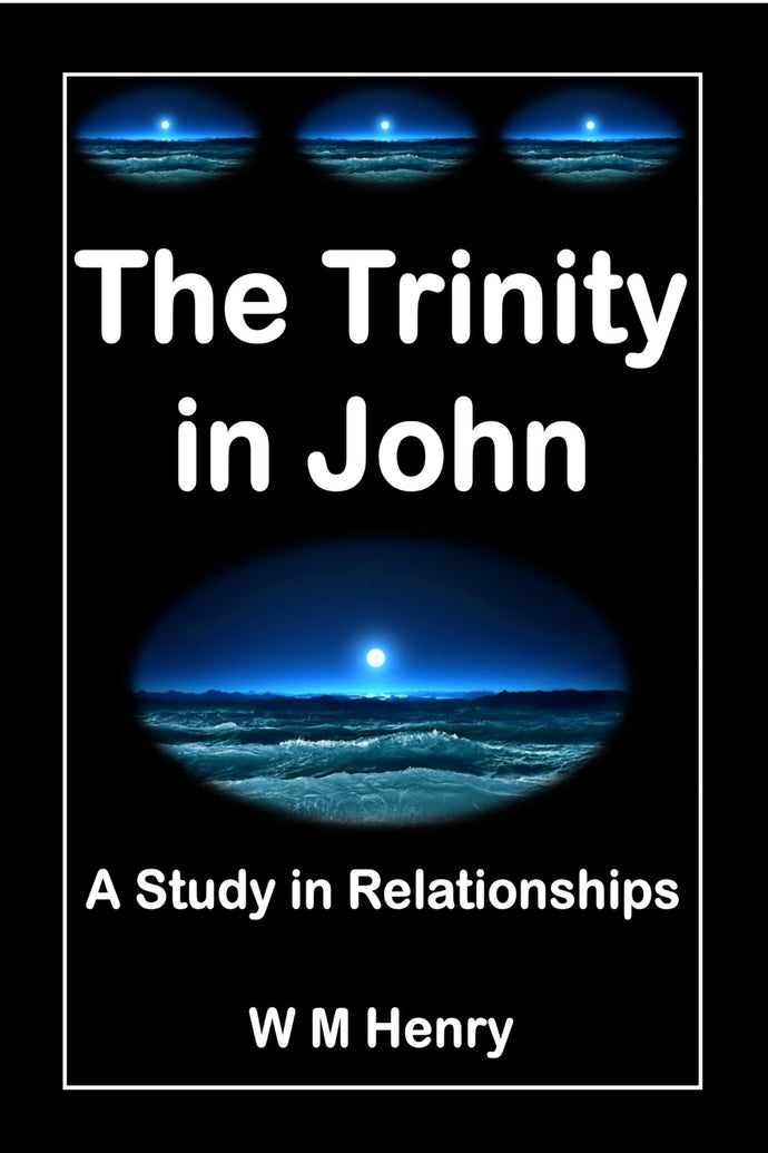 The Trinity in John: A Study in Relationships